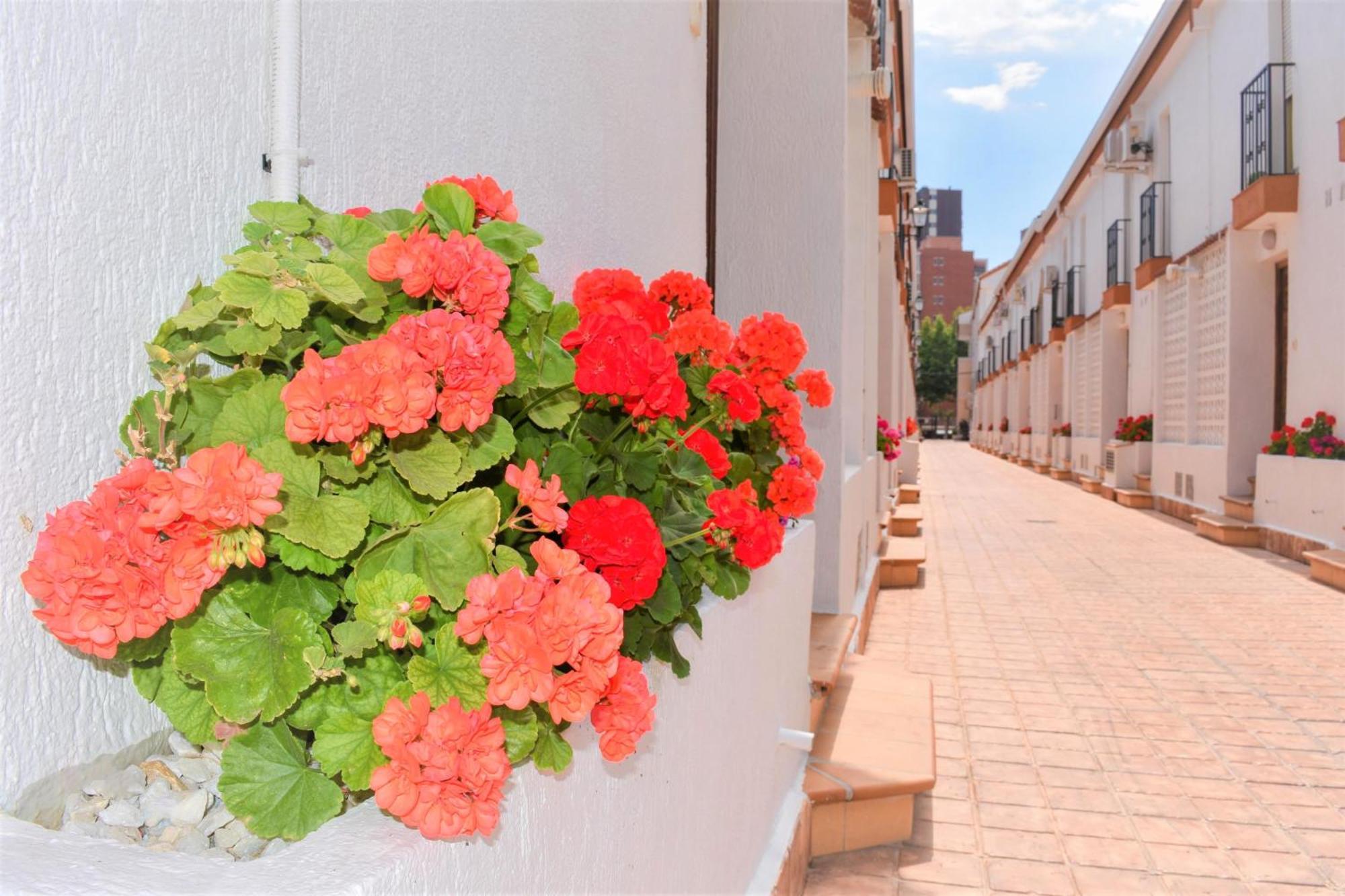 Cozy Bunglow Rinconda Real Benidorm Exterior foto